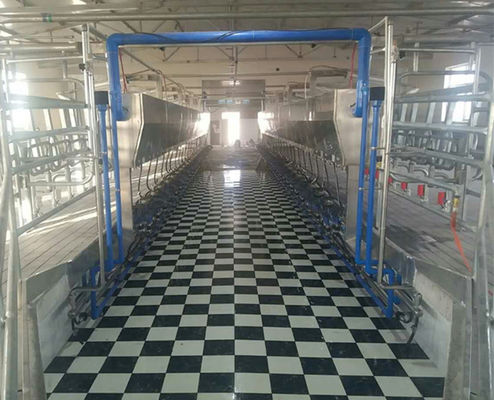 11 کیلو وات خلاuum 3800L سیستم های دوشش سالن موازی 128 گاو در هر ساعت