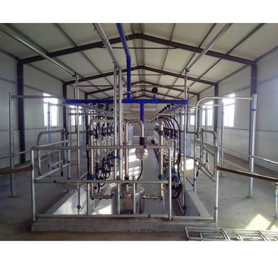 SS304 Herringbone Parlor Milking Systems تجهیزات گاو شیری