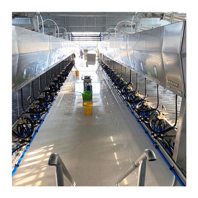سیستم های شیردوشی گل شاه ماهی الکتریکی دامداری 100 گاو در هر ساعت