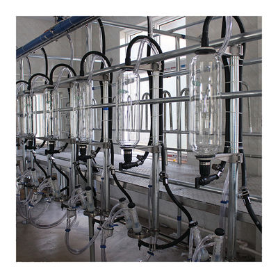 خطوط موازی دستگاه شیر اتوماتیک سالن شیردوشی شاخه شاه ماهی 20T / H