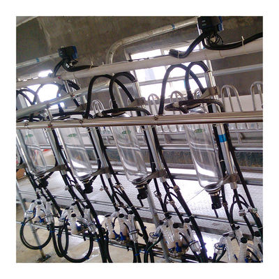 خطوط موازی دستگاه شیر اتوماتیک سالن شیردوشی شاخه شاه ماهی 20T / H