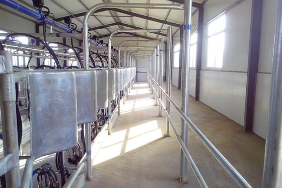 شاه ماهی نوع 5T / h سالن شیردوشی 20 واحدی شیردوشی اتوماتیک کم صدا