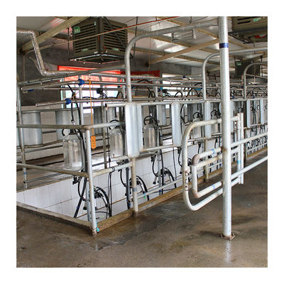 SS304 Herringbone Parlor Milking Systems تجهیزات گاو شیری