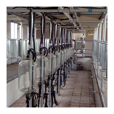 شیر بزرگ 110v 20 اصطبل شیر شاه ماهی برای دوشش گاو