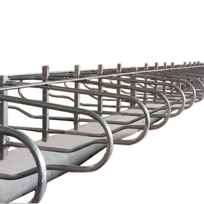اثبات زنگ زدگی انبار غرفه رایگان 95cm برای مزرعه لبنی