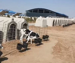 پناهگاه های پلاستیکی گوساله با طول مش گالوانیزه 220 سانتی متر به راحتی تمیز کنید
