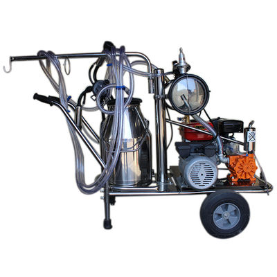 تجهیزات شیردوشی گوسفند SS304 دستگاه شیر اتوماتیک 24cows / H
