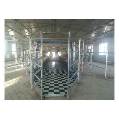 11 کیلو وات خلاuum 3800L سیستم های دوشش سالن موازی 128 گاو در هر ساعت