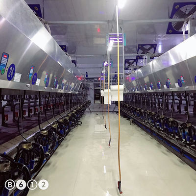 11 کیلو وات خلاuum 3800L سیستم های دوشش سالن موازی 128 گاو در هر ساعت