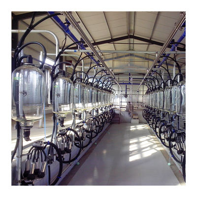 نوع استخوان ماهی سالن شیردوشی الکترونیکی 2300L / min