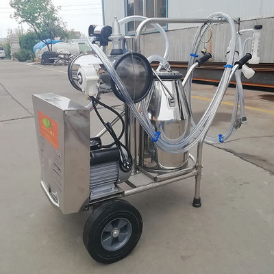 2 سطل دستگاه شیر شیر گاو 220 لیتر / دقیقه 24 گاو در هر ساعت
