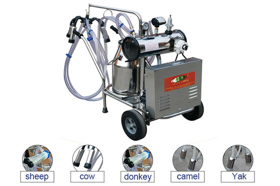 راهنمای الکترونیکی دستگاه شیردوشی بز بز 20 D 24pcs / H Dairy Big Farm
