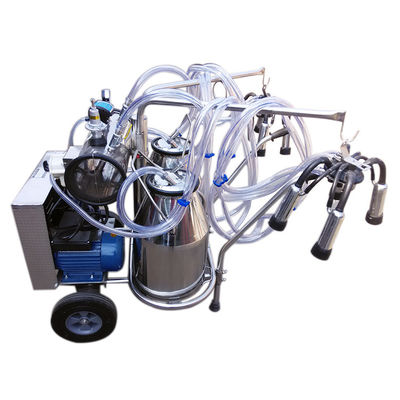 راهنمای الکترونیکی دستگاه شیردوشی بز بز 20 D 24pcs / H Dairy Big Farm