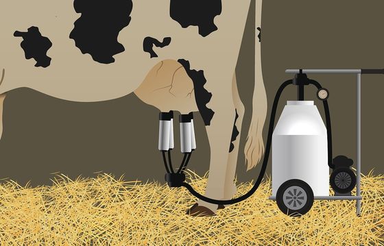 پمپ جارو برقی موتور دیزل موتور گاو قابل حمل شیردوشی