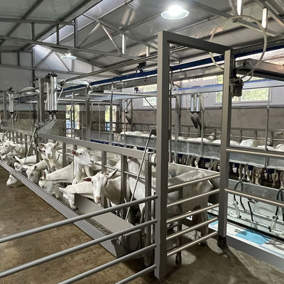 Farms Dairy High بهره وری شیردوشی تجهیزات سالن شیردوشی بز انعطاف پذیر